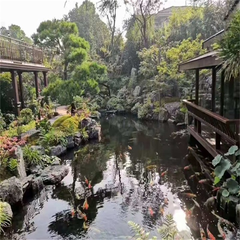 易县假山植物小鱼池